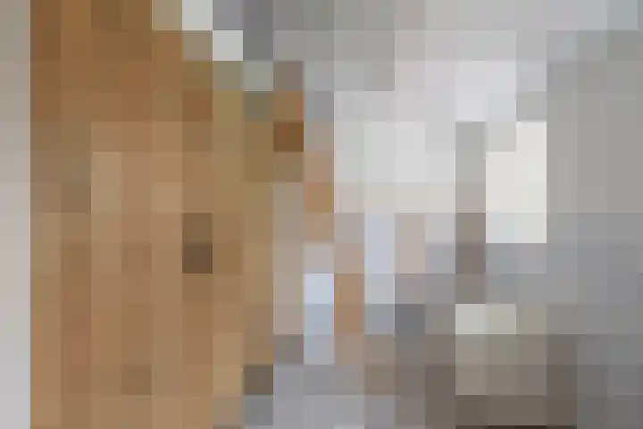 Kerkstraat 13 Andel thumbnail 17