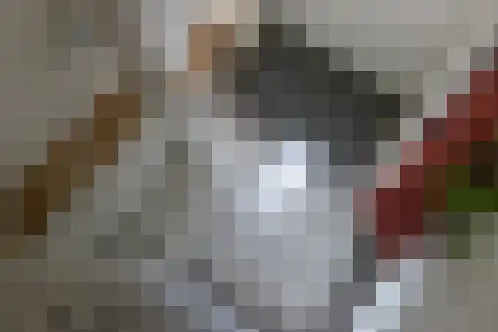 Kerkstraat 13 Andel thumbnail 19