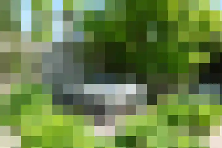 Kerkstraat 13 Andel thumbnail 33