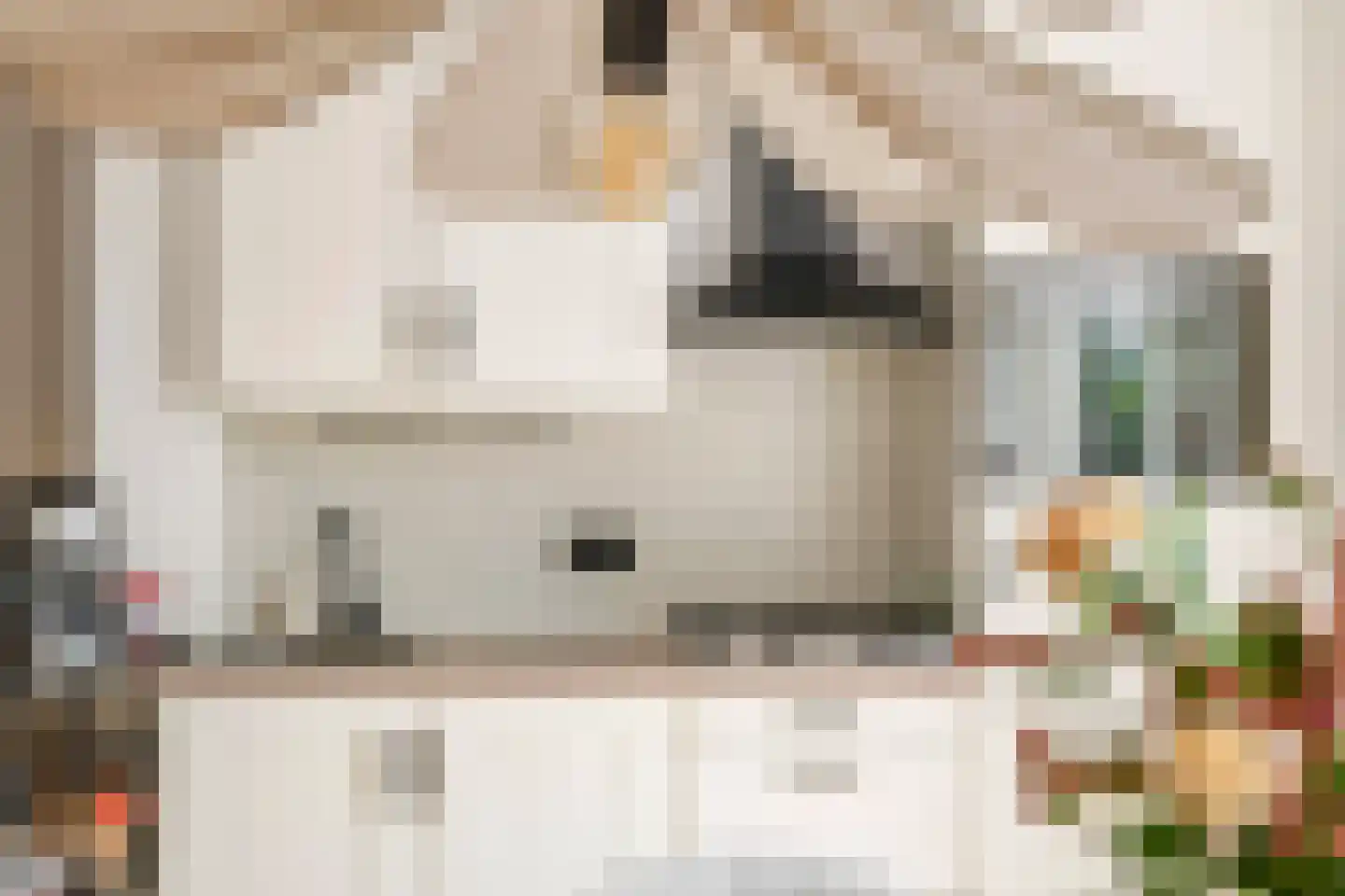 Kerkstraat 13 b Geldermalsen thumbnail 12
