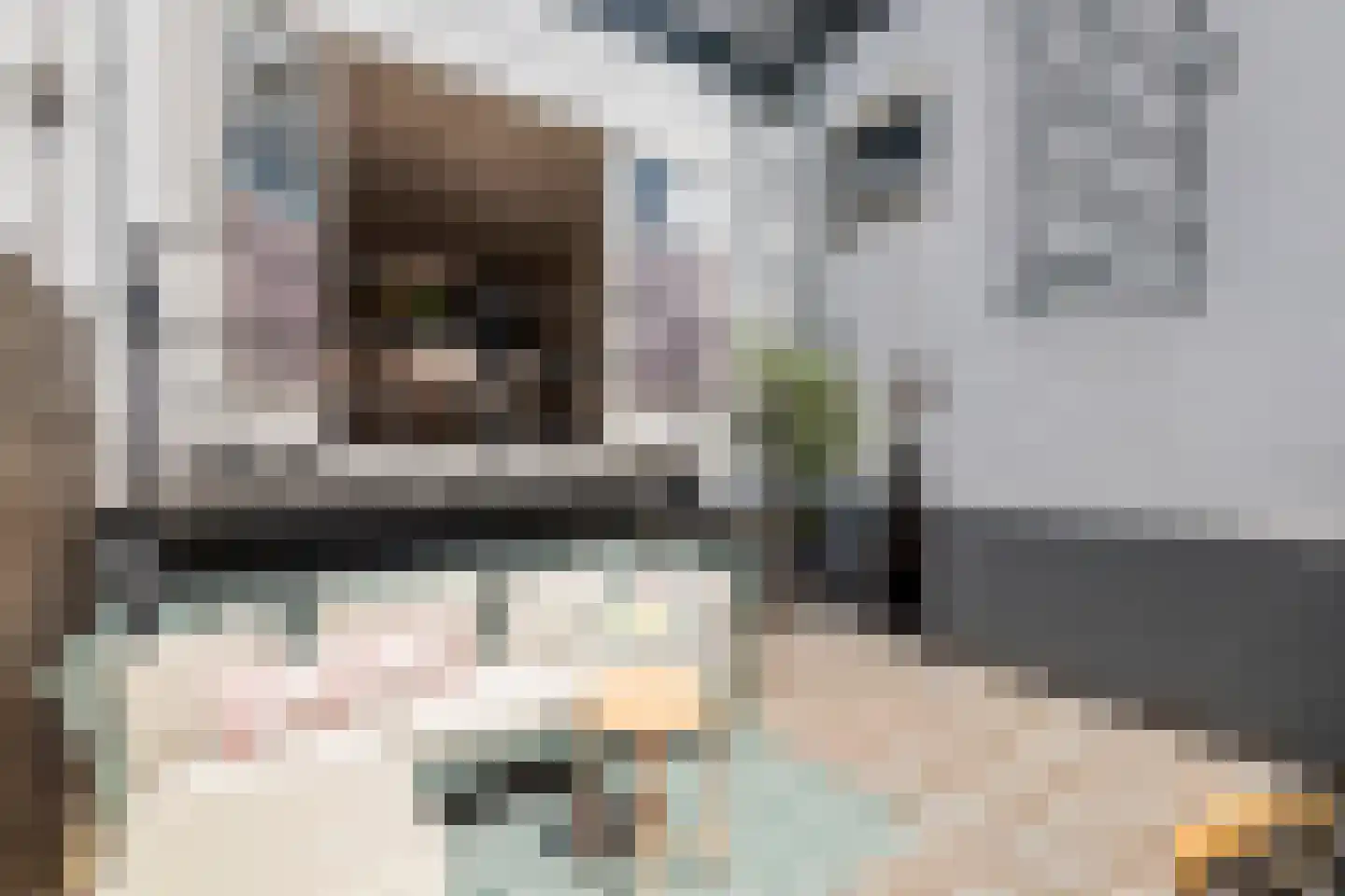 Kerkstraat 13 b Geldermalsen thumbnail 17