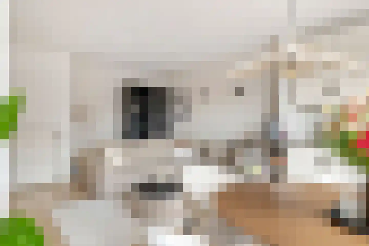Kerkstraat 13 b Geldermalsen thumbnail 20