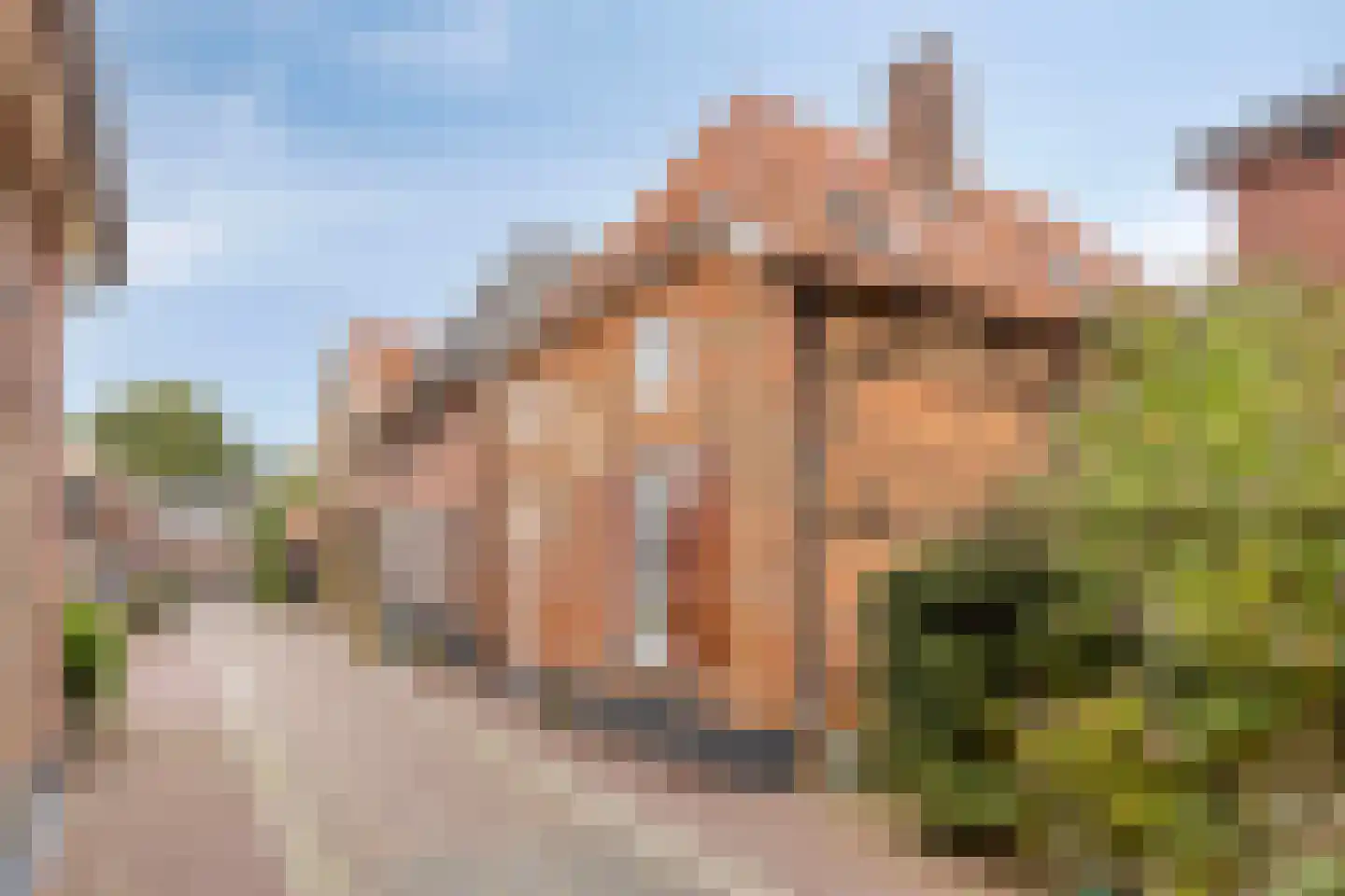 Kerkstraat 13 Bredevoort thumbnail 4