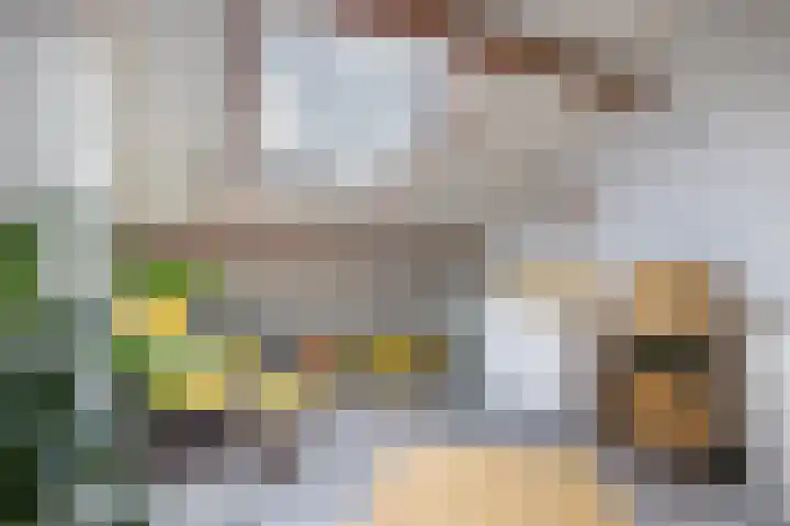 Kerkstraat 13 Kats thumbnail 25