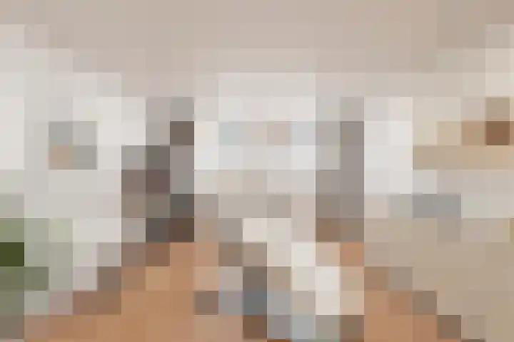 Kerkstraat 13 Kats thumbnail 44