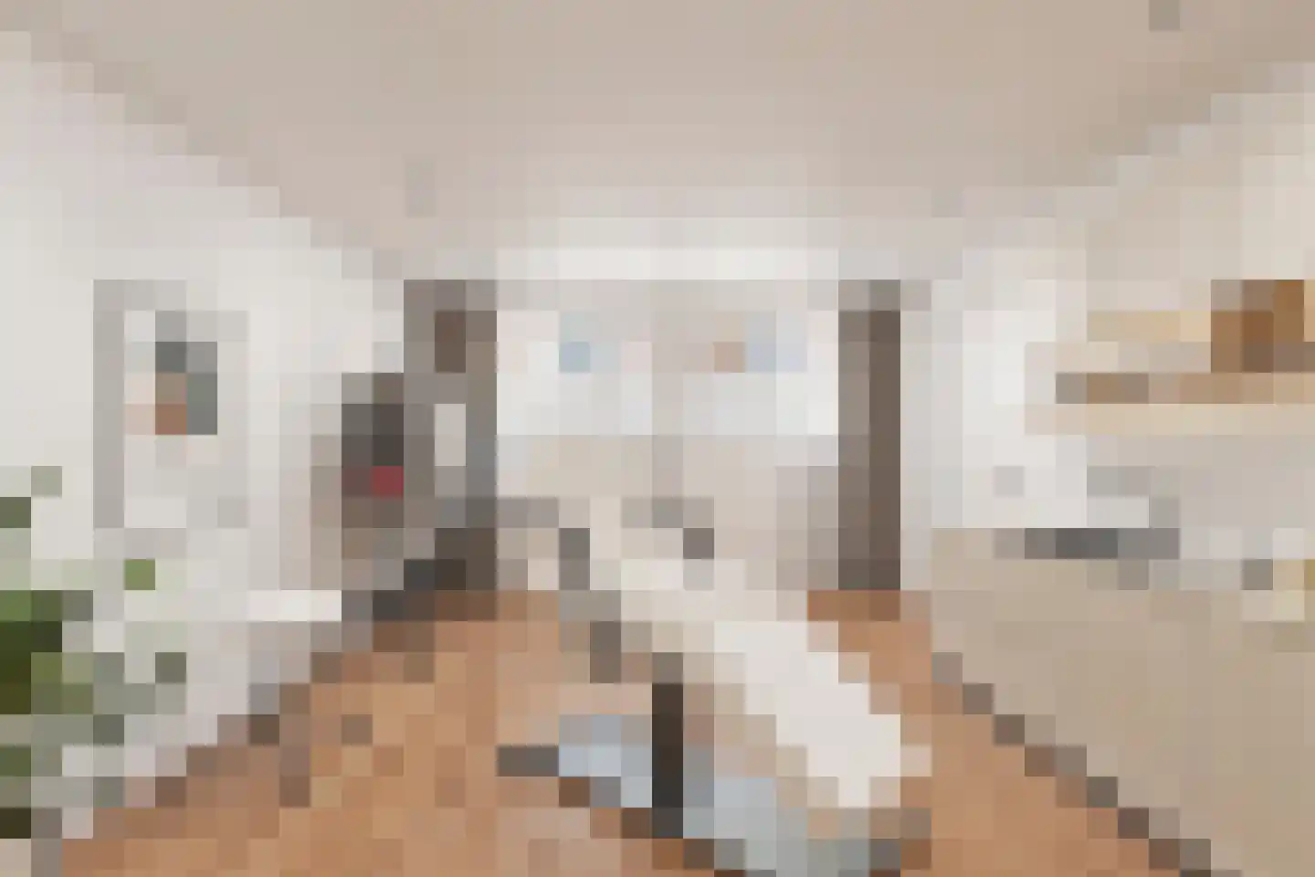 Kerkstraat 13 Kats thumbnail 44