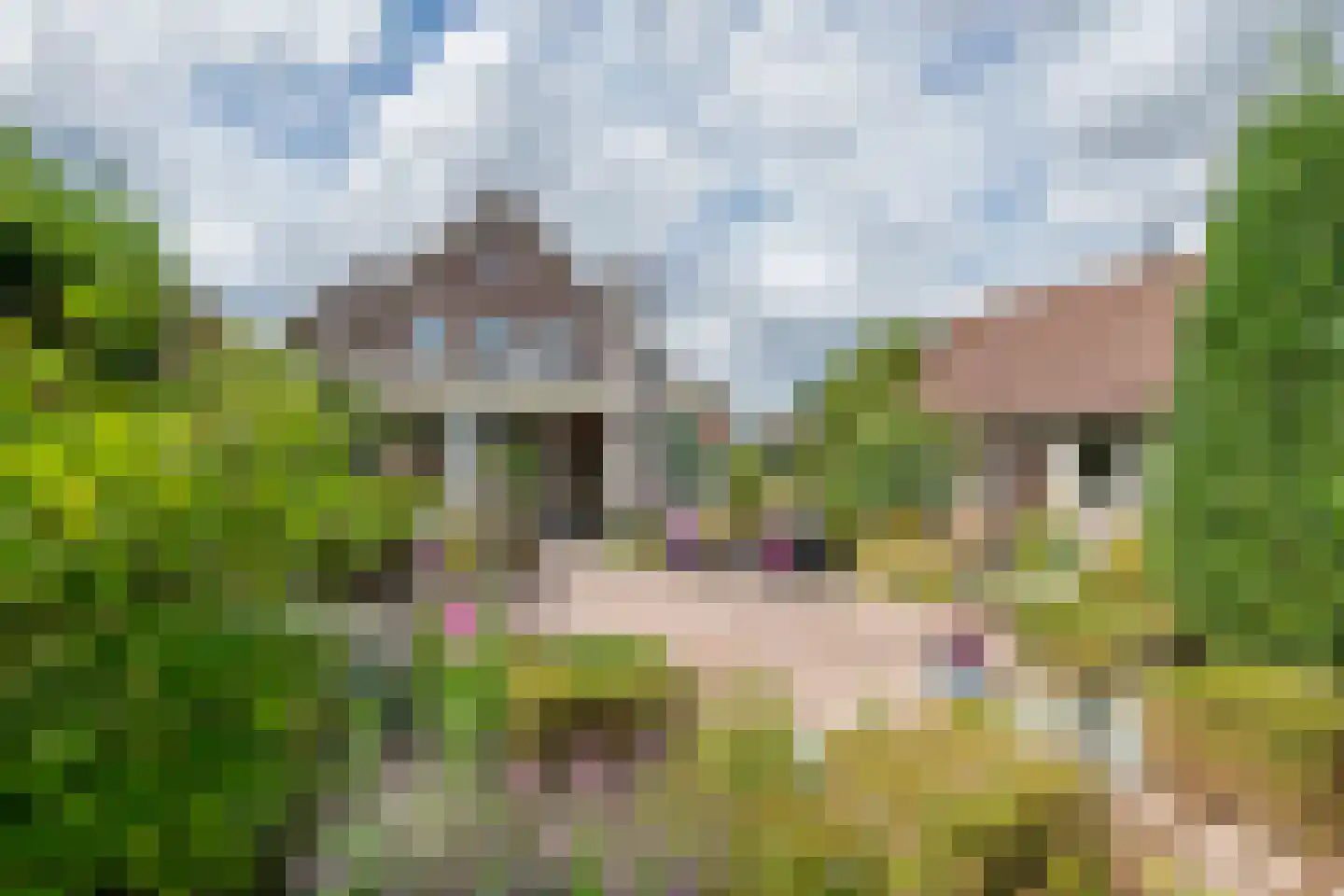 Kerkstraat 13 Kesteren thumbnail 13