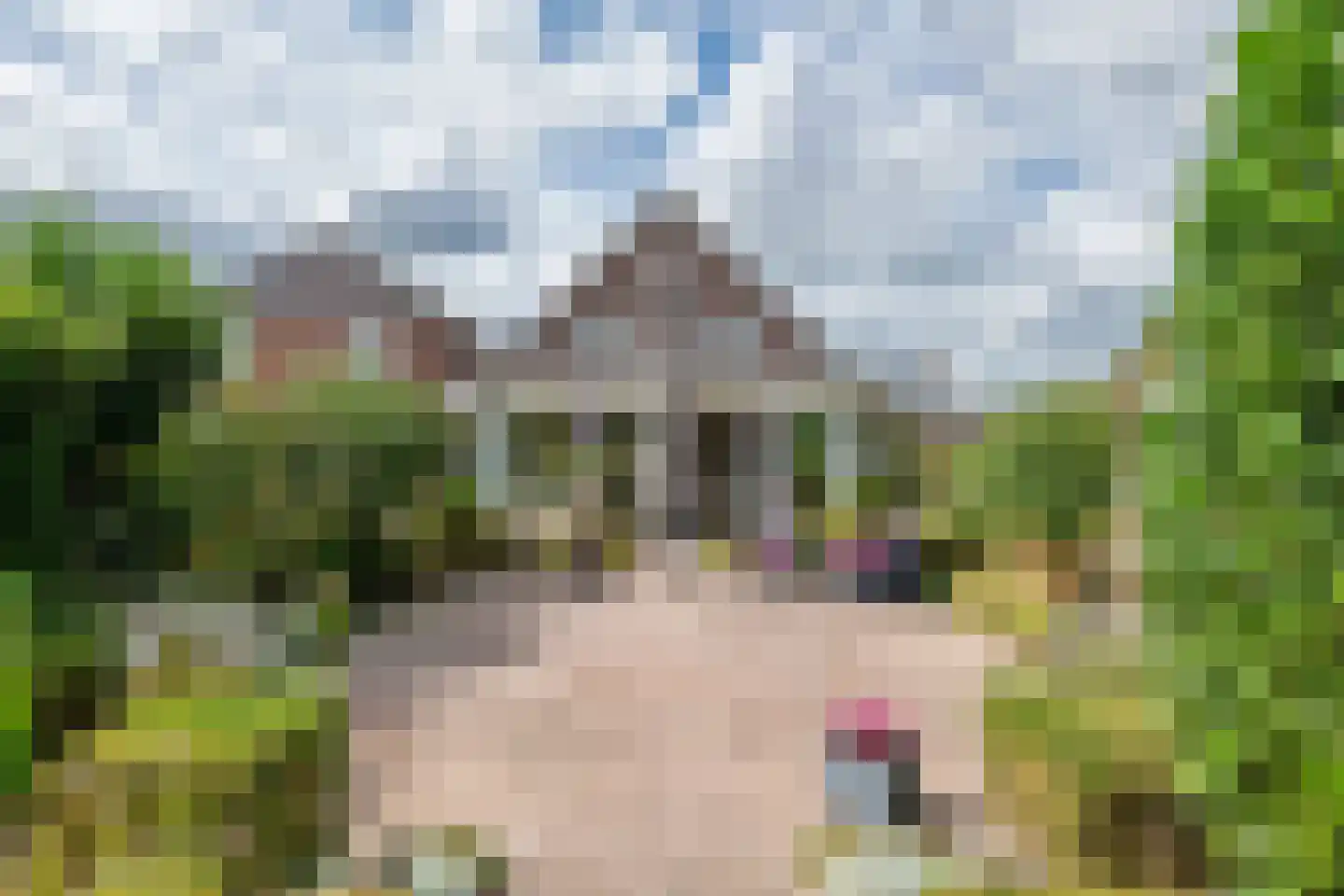 Kerkstraat 13 Kesteren thumbnail 14