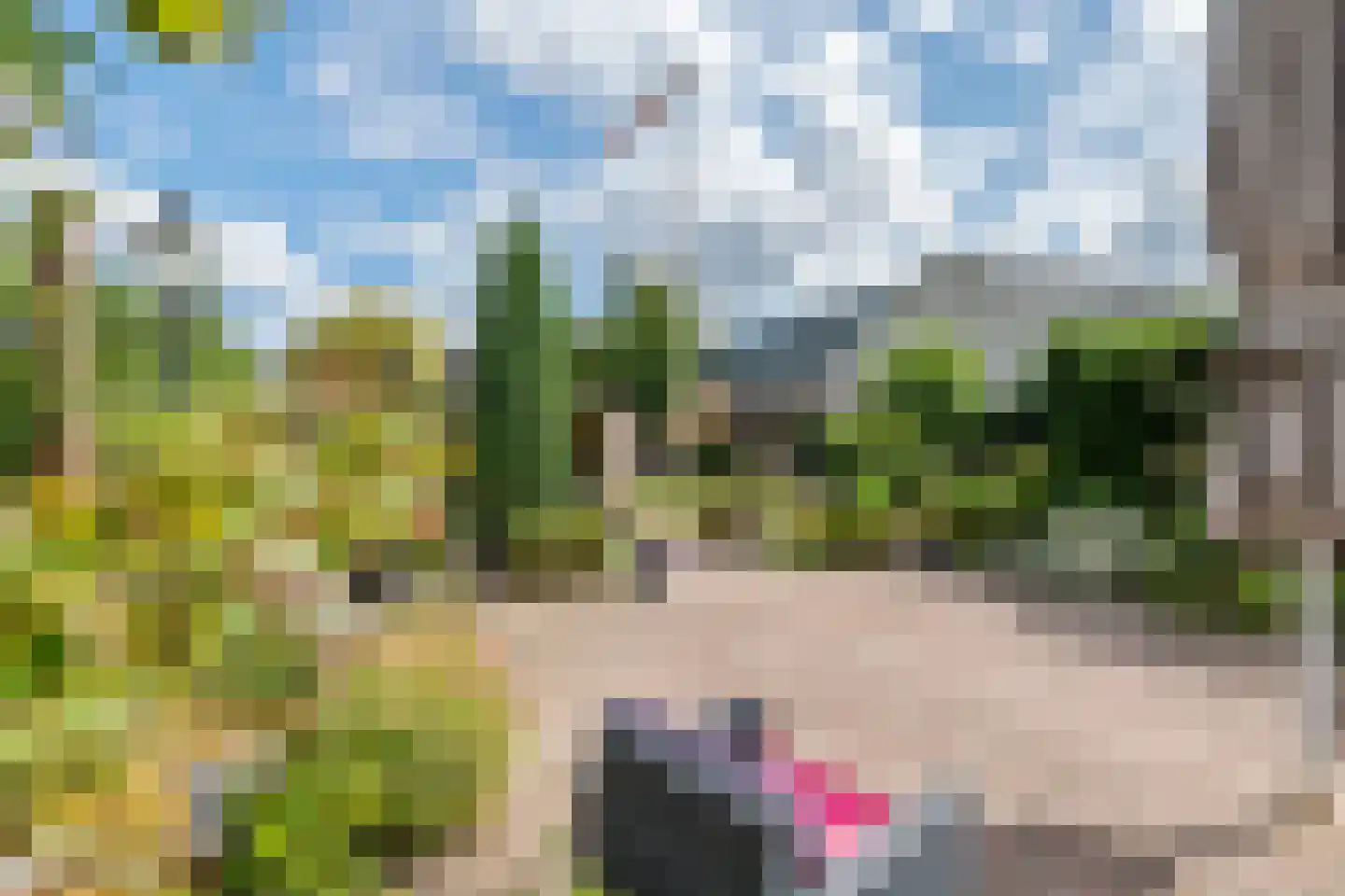 Kerkstraat 13 Kesteren thumbnail 17
