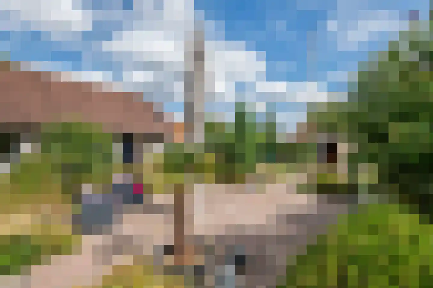 Kerkstraat 13 Kesteren thumbnail 18