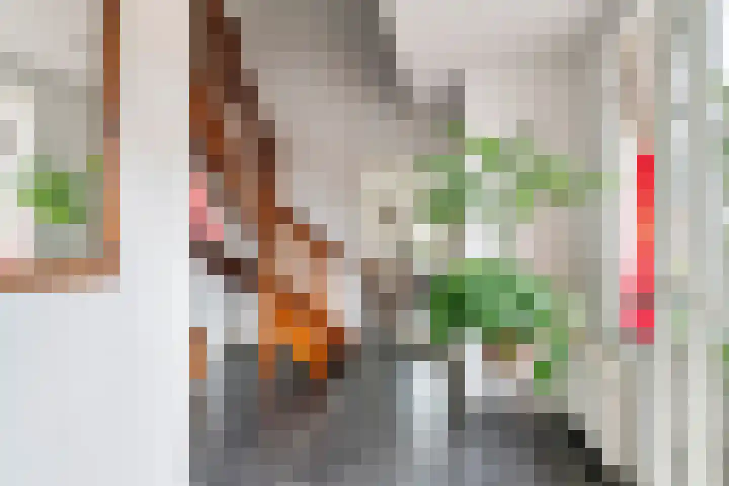 Kerkstraat 13 Kesteren thumbnail 20