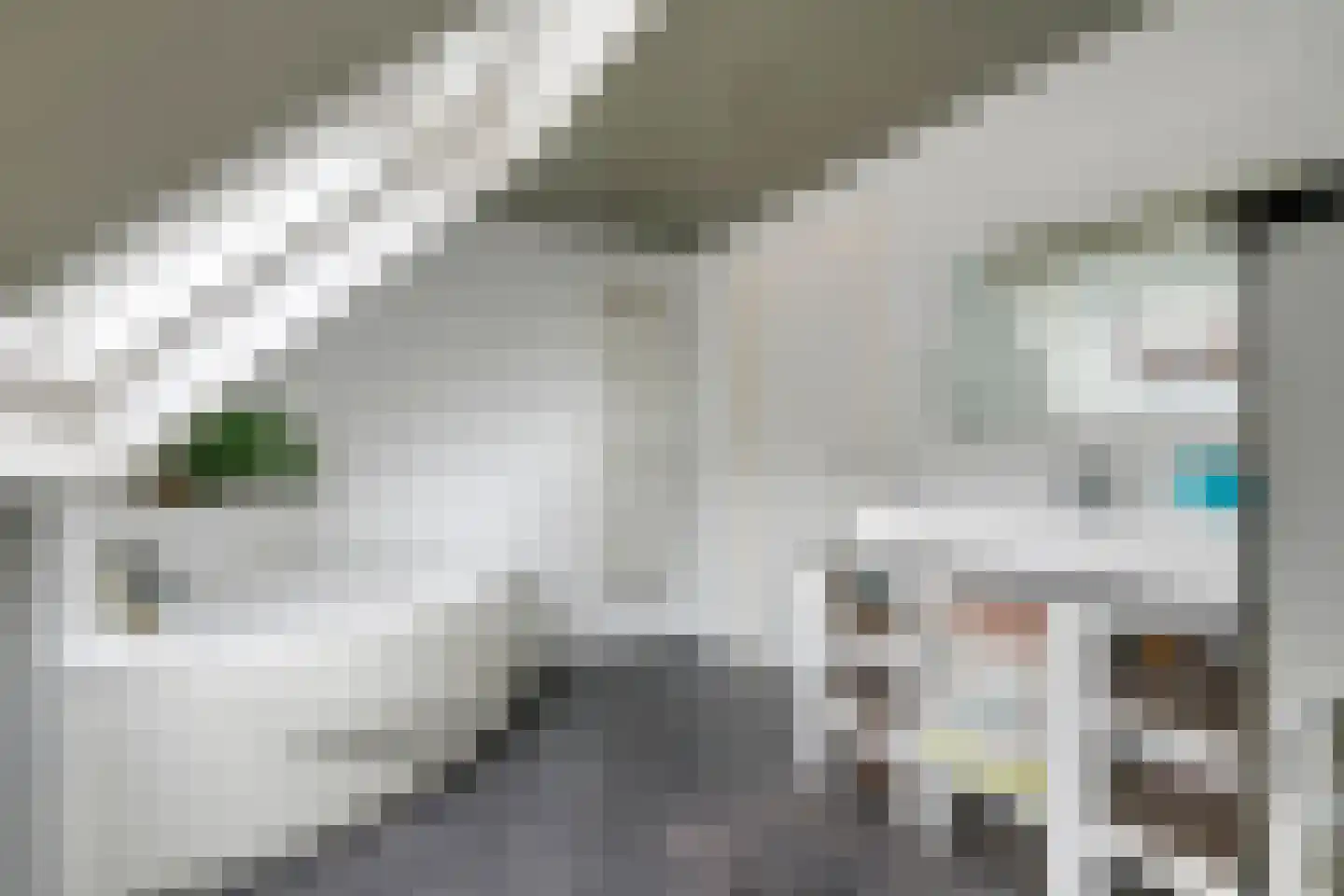 Kerkstraat 13 Kesteren thumbnail 57