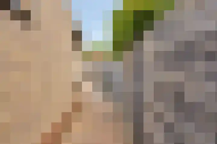 Kerkstraat 13 Lepelstraat thumbnail 38