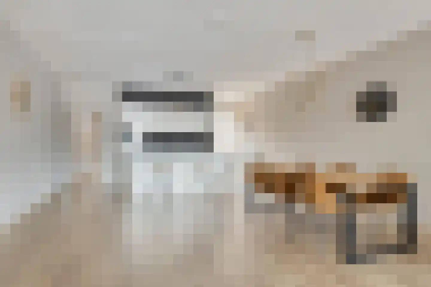 Kerkstraat 13 Oud-Beijerland thumbnail 7