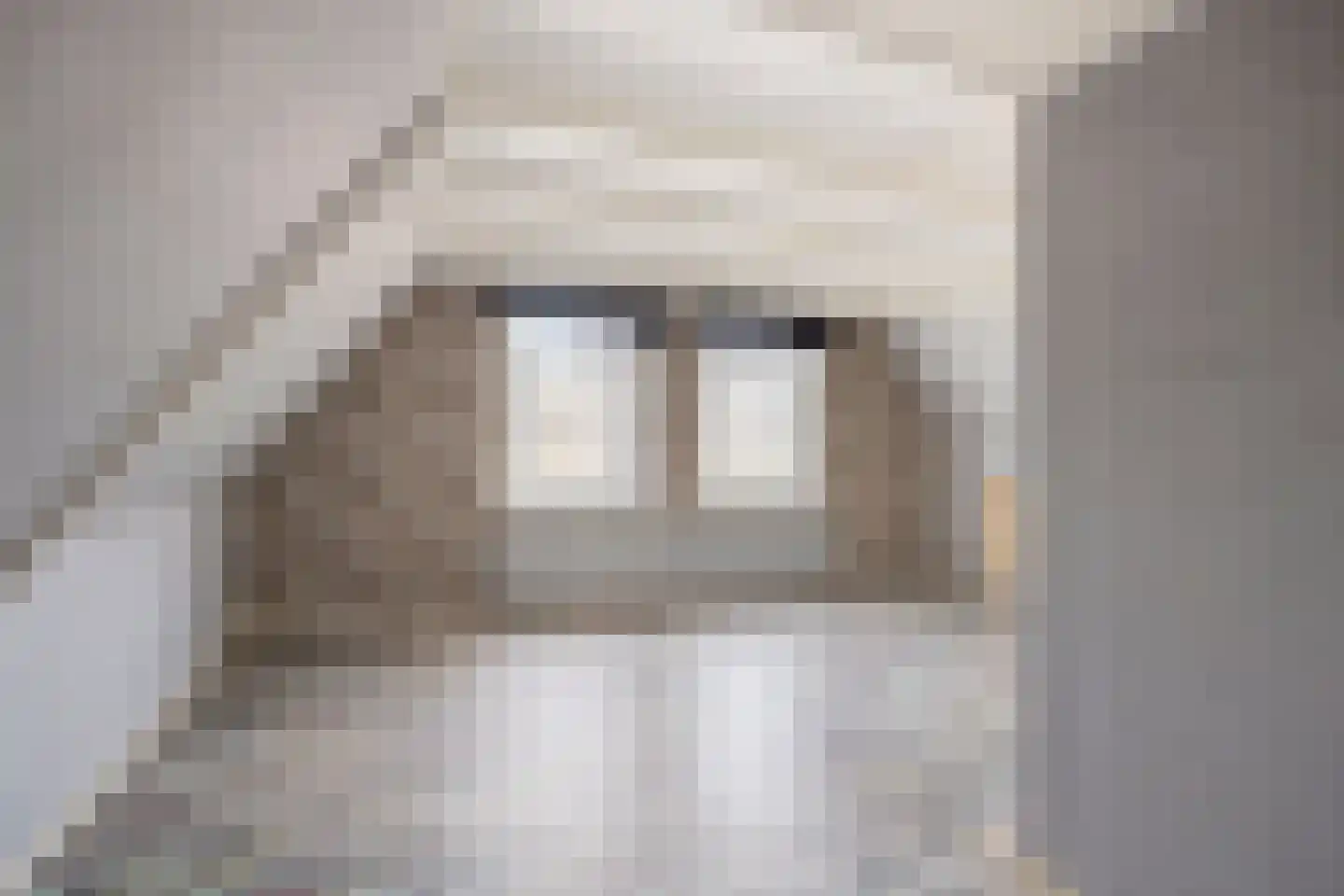 Kerkstraat 13 Pingjum thumbnail 23