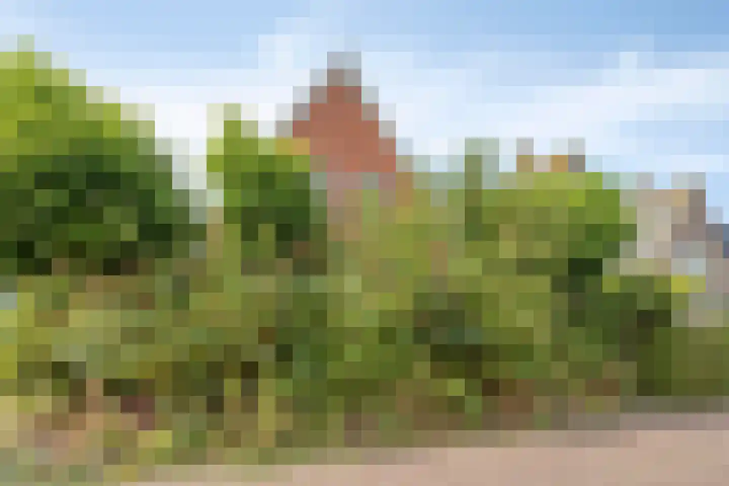 Kerkstraat 13 Pingjum thumbnail 34