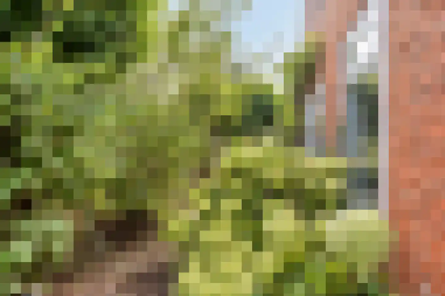 Kerkstraat 13 Pingjum thumbnail 4