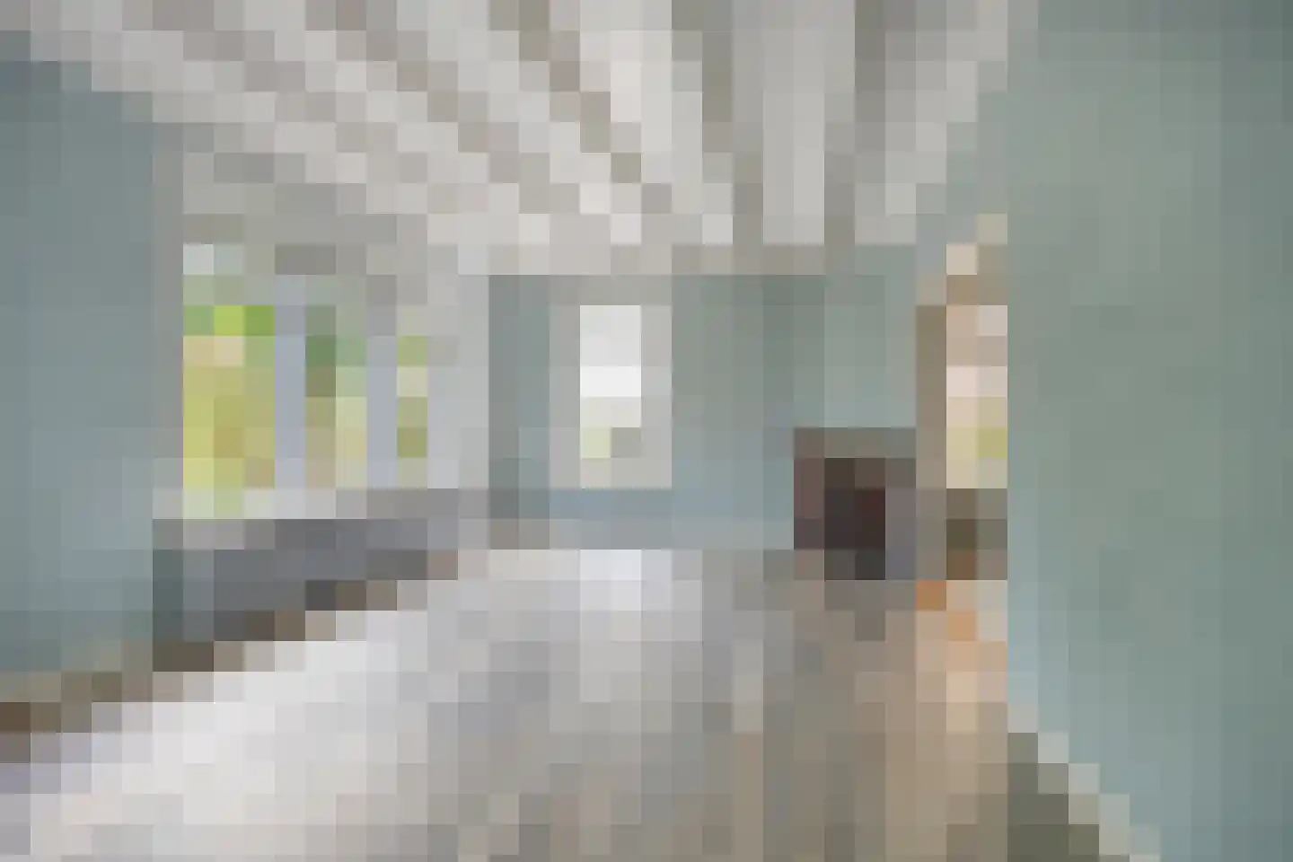 Kerkstraat 13 Pingjum thumbnail 8