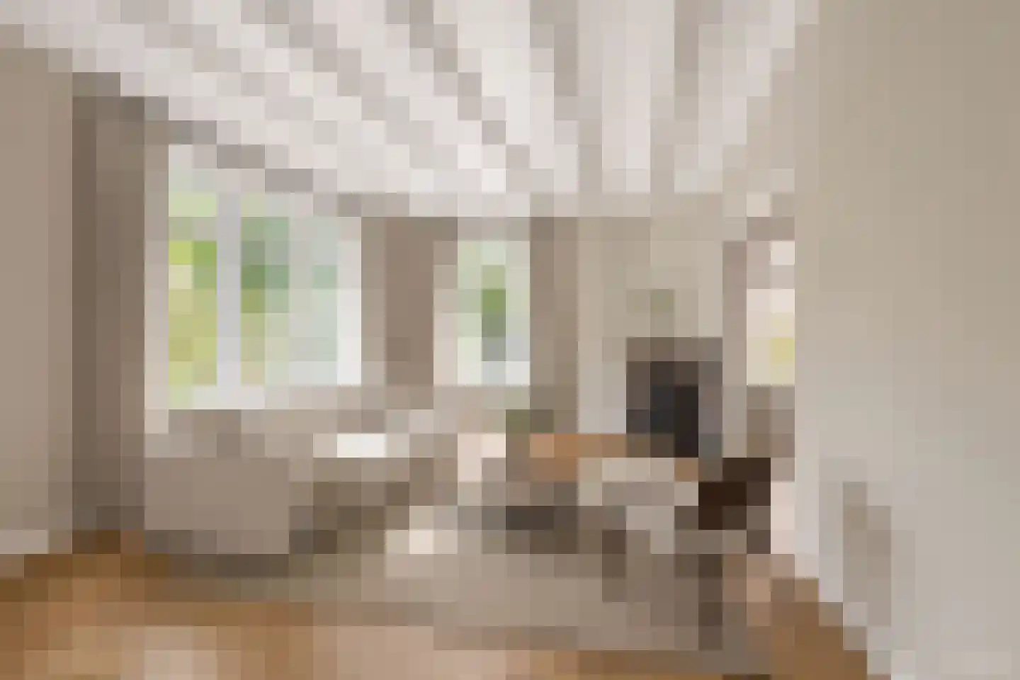 Kerkstraat 13 Pingjum thumbnail 9