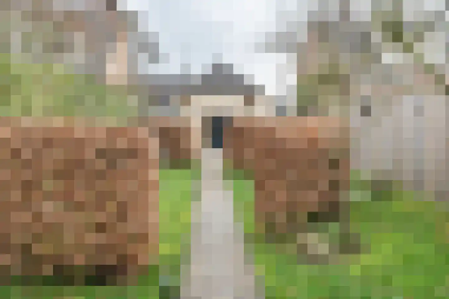 Kerkstraat 13 Rossum thumbnail 10