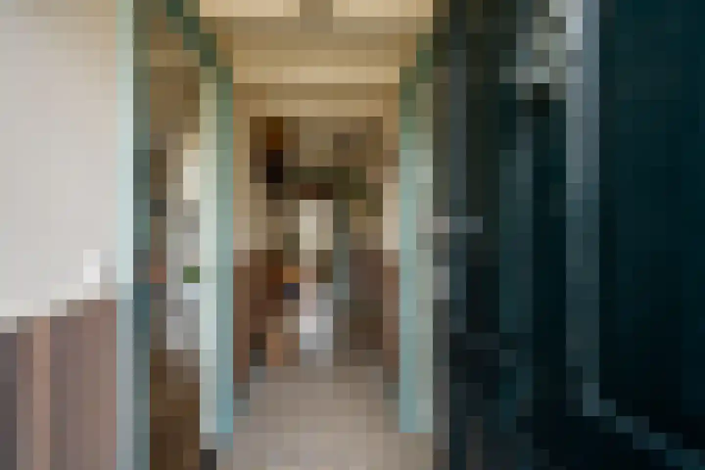 Kerkstraat 13 Rossum thumbnail 18