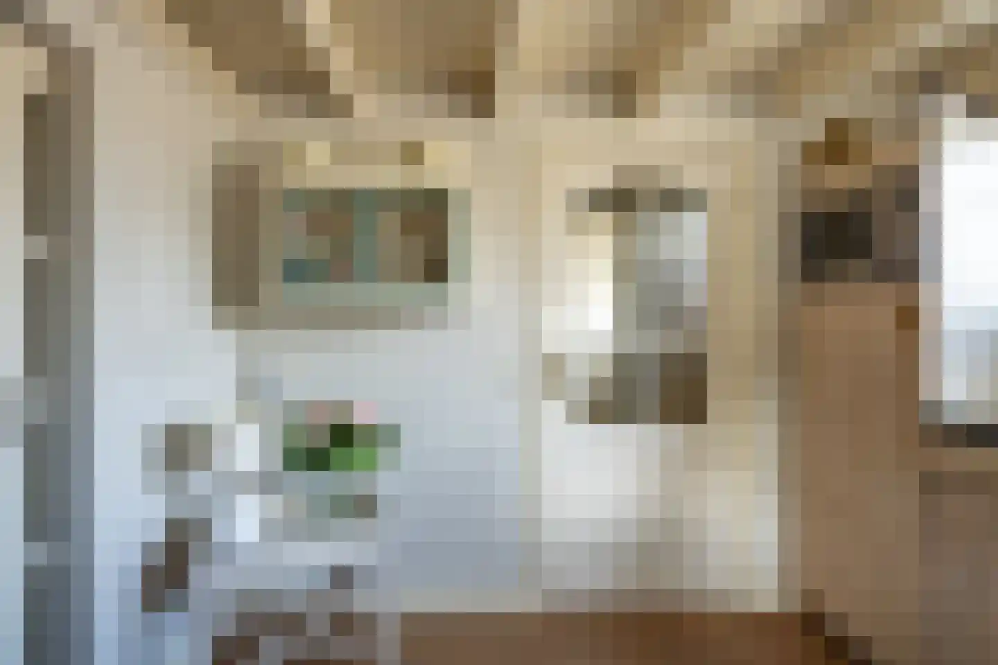 Kerkstraat 13 Rossum thumbnail 22