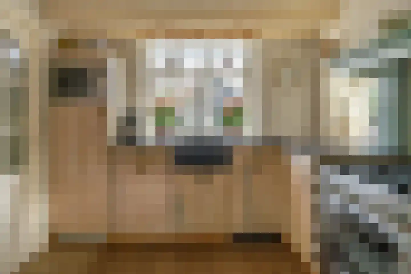 Kerkstraat 13 Rossum thumbnail 23
