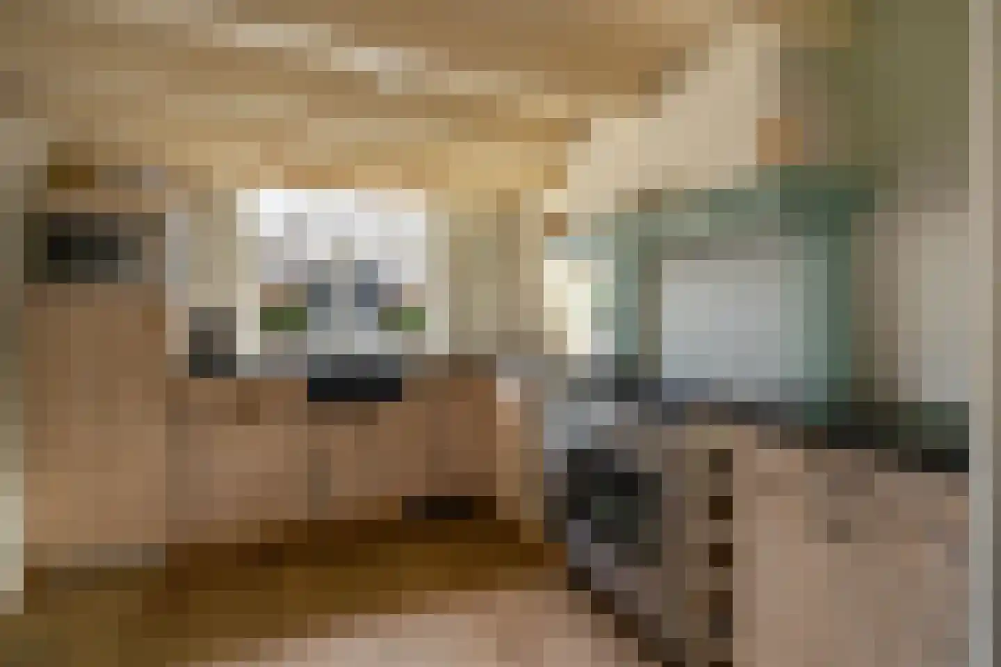 Kerkstraat 13 Rossum thumbnail 24