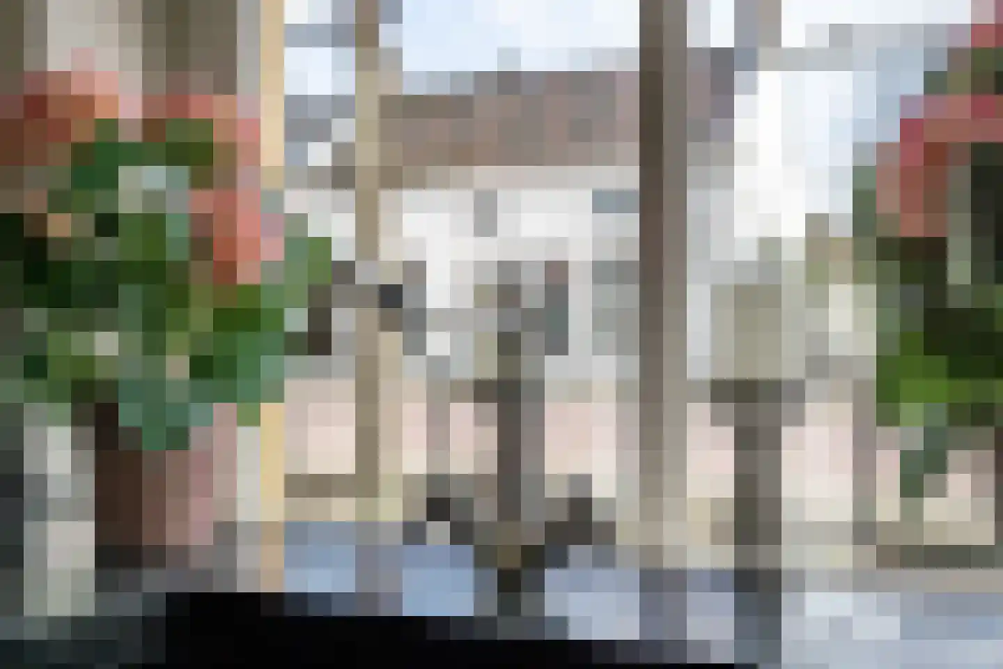 Kerkstraat 13 Rossum thumbnail 25