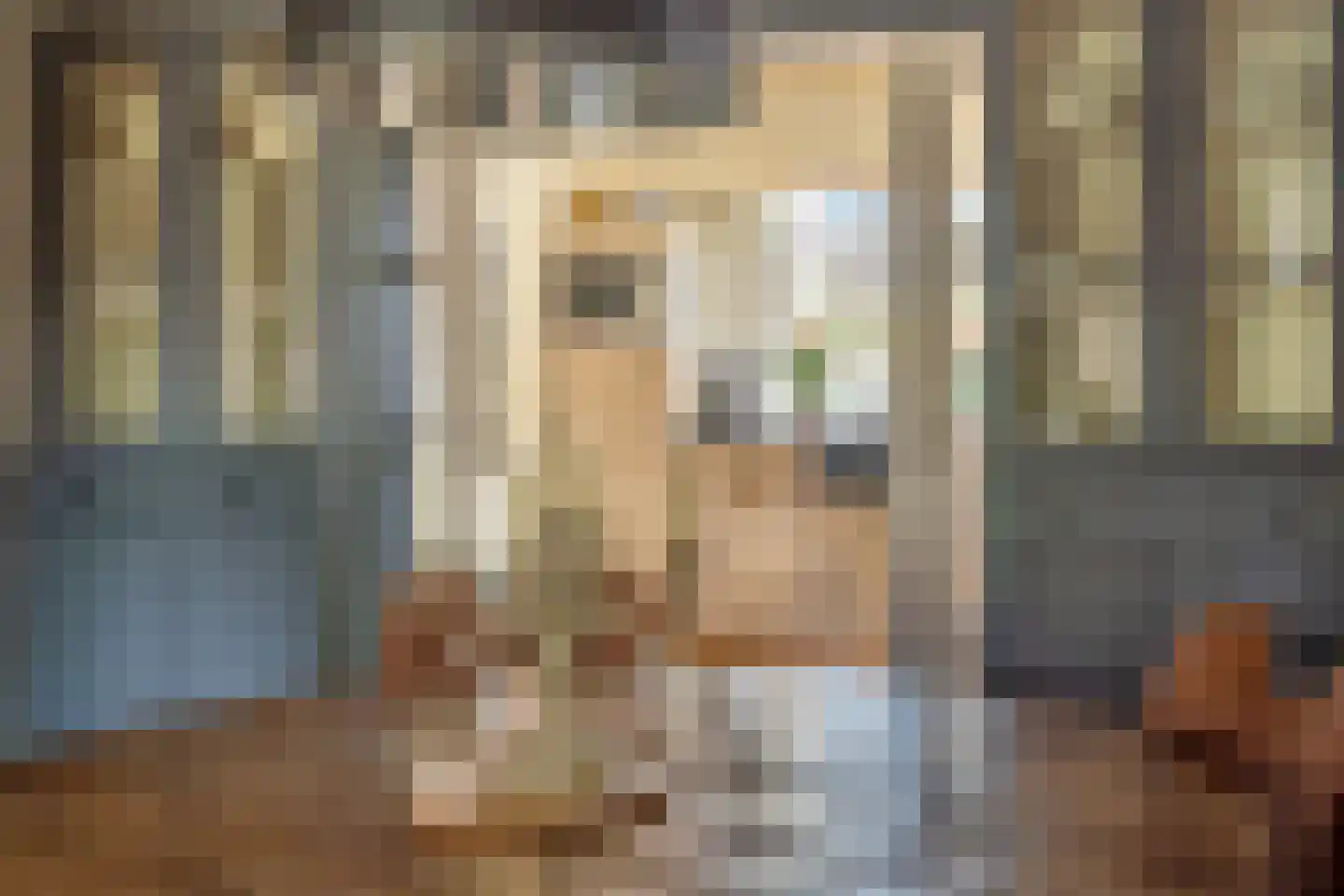 Kerkstraat 13 Rossum thumbnail 29