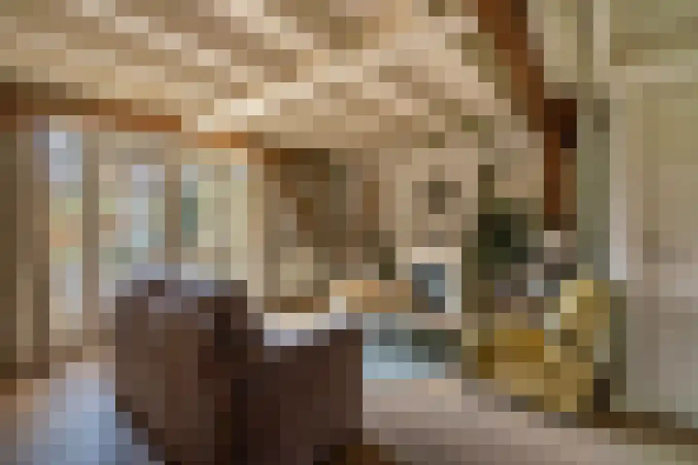 Kerkstraat 13 Rossum thumbnail 32