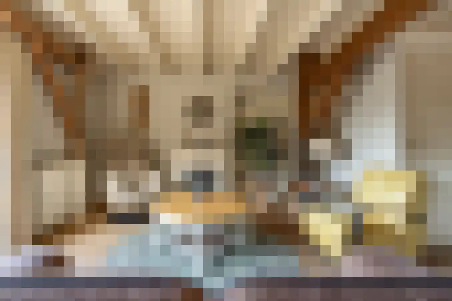 Kerkstraat 13 Rossum thumbnail 33