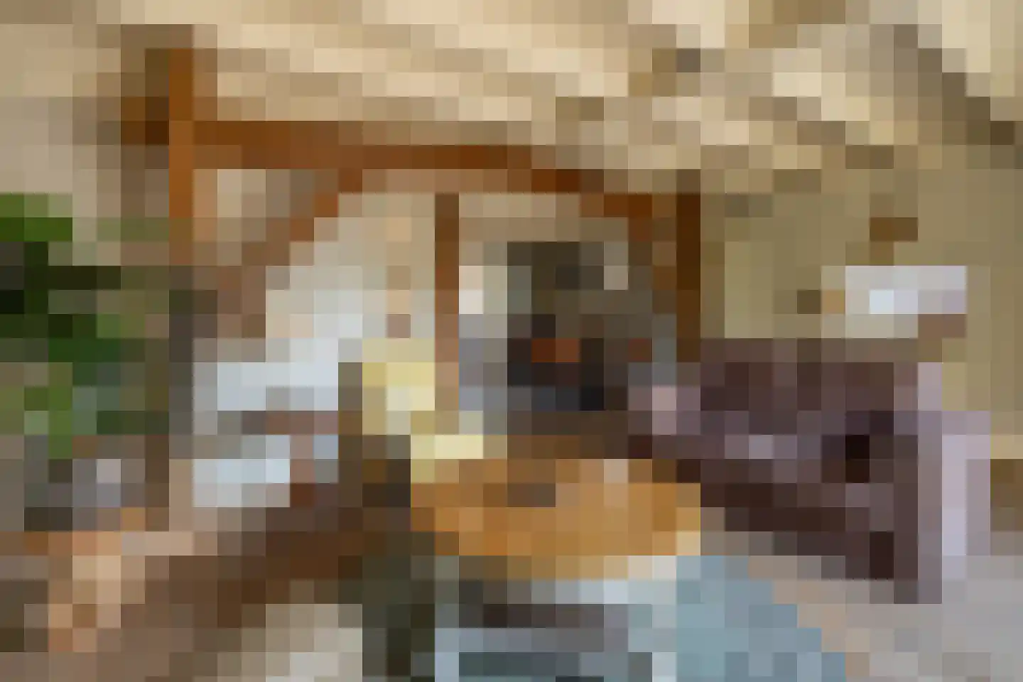 Kerkstraat 13 Rossum thumbnail 37