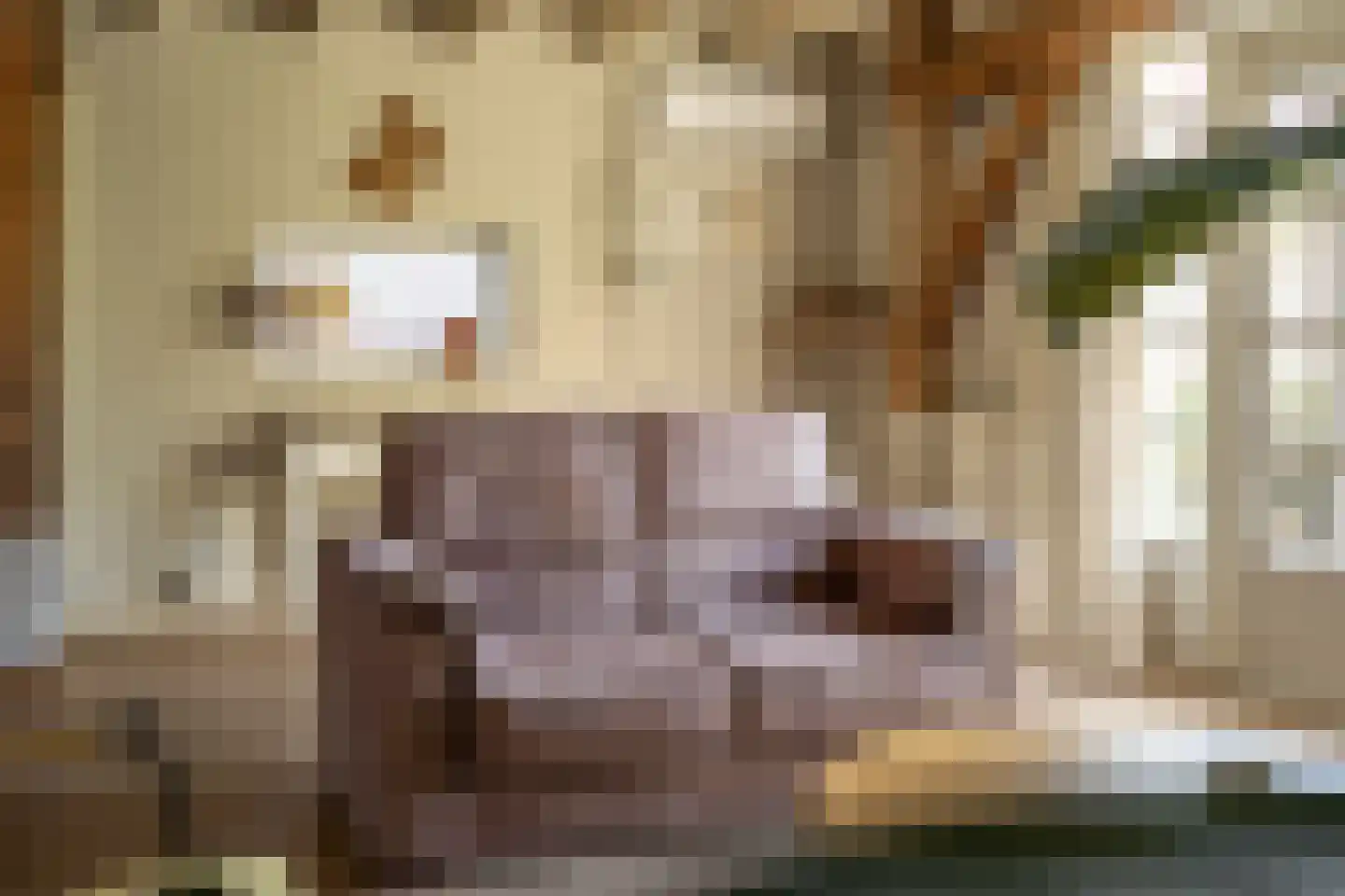 Kerkstraat 13 Rossum thumbnail 38