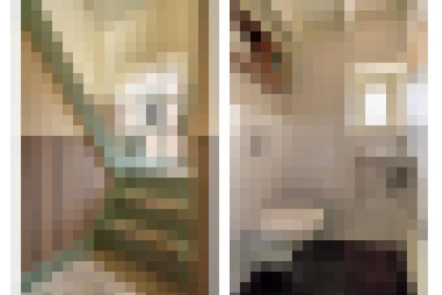 Kerkstraat 13 Rossum thumbnail 39