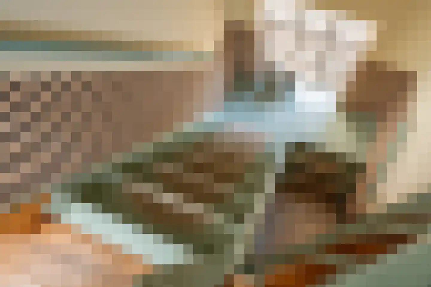 Kerkstraat 13 Rossum thumbnail 42