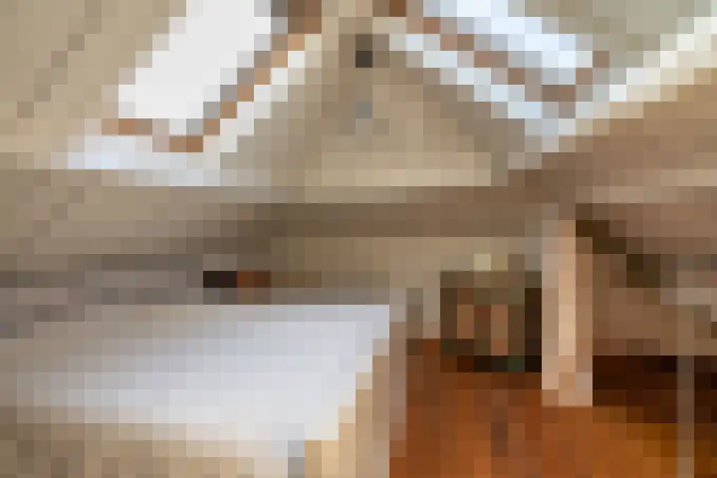 Kerkstraat 13 Rossum thumbnail 46