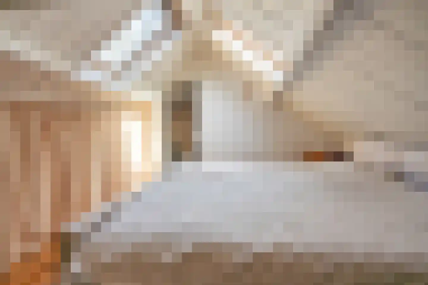 Kerkstraat 13 Rossum thumbnail 47