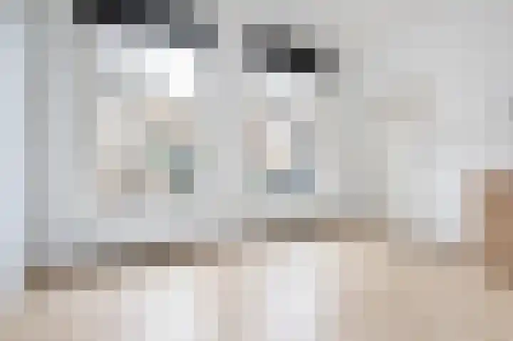Kerkstraat 13 Sommelsdijk thumbnail 5