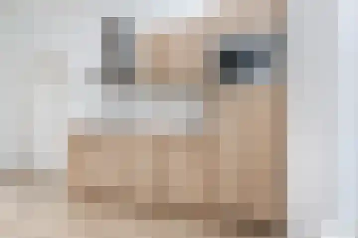Kerkstraat 13 Sommelsdijk thumbnail 7