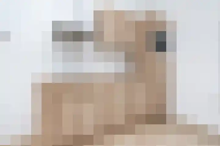Kerkstraat 13 Sommelsdijk thumbnail 8