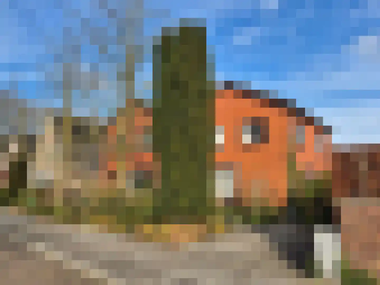 Kerkstraat 13 Vriezenveen thumbnail 10