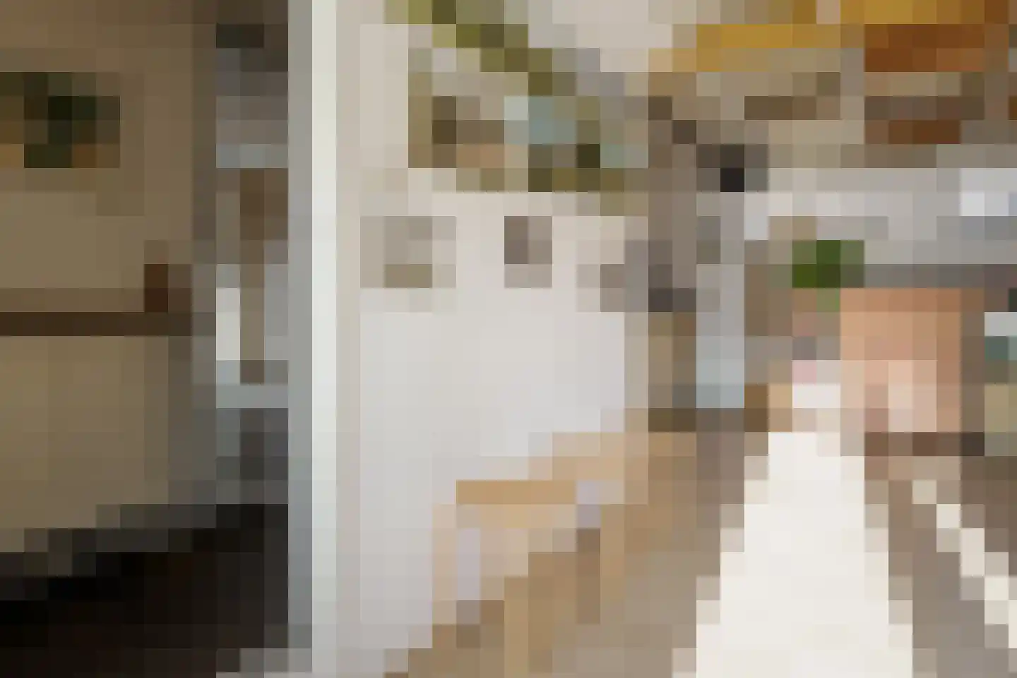 Kerkstraat 13 Vriezenveen thumbnail 32