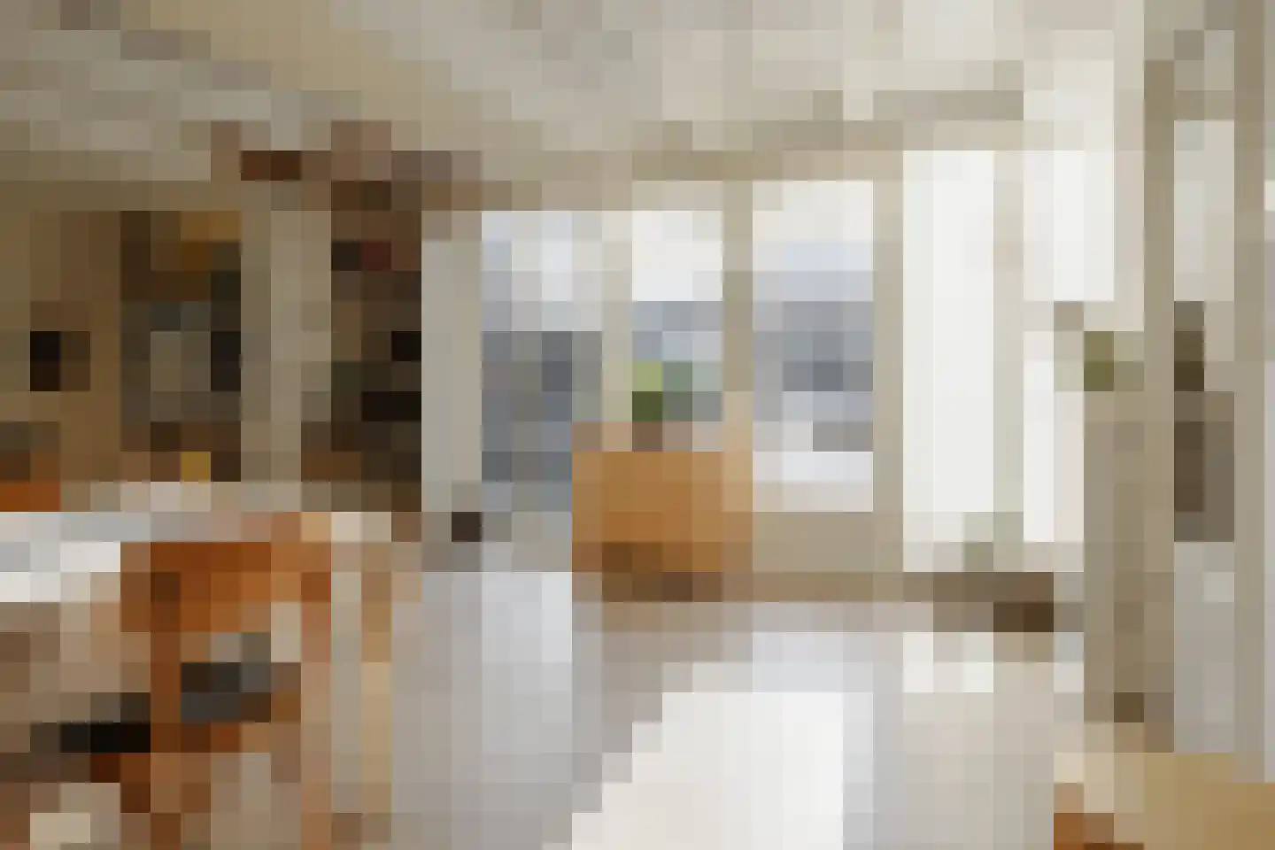 Kerkstraat 13 Vriezenveen thumbnail 36