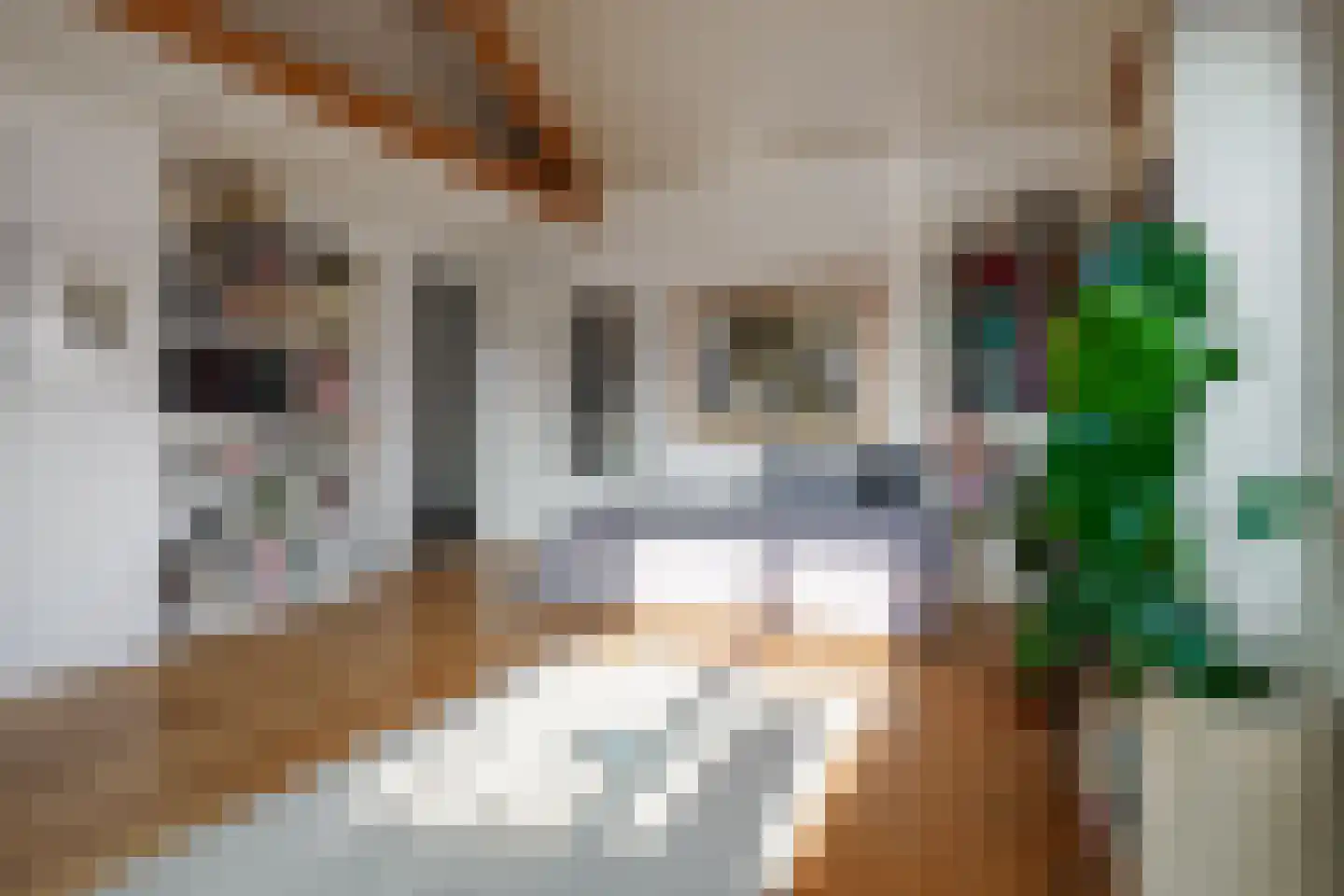 Kerkstraat 13 Vriezenveen thumbnail 48