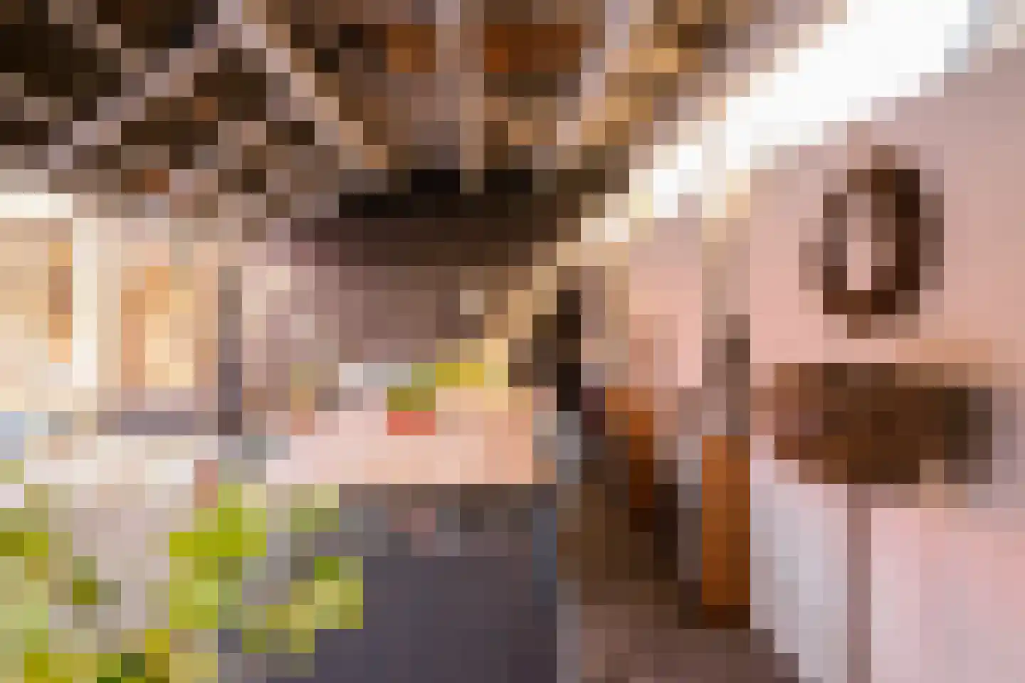 Kerkstraat 13 Vriezenveen thumbnail 63