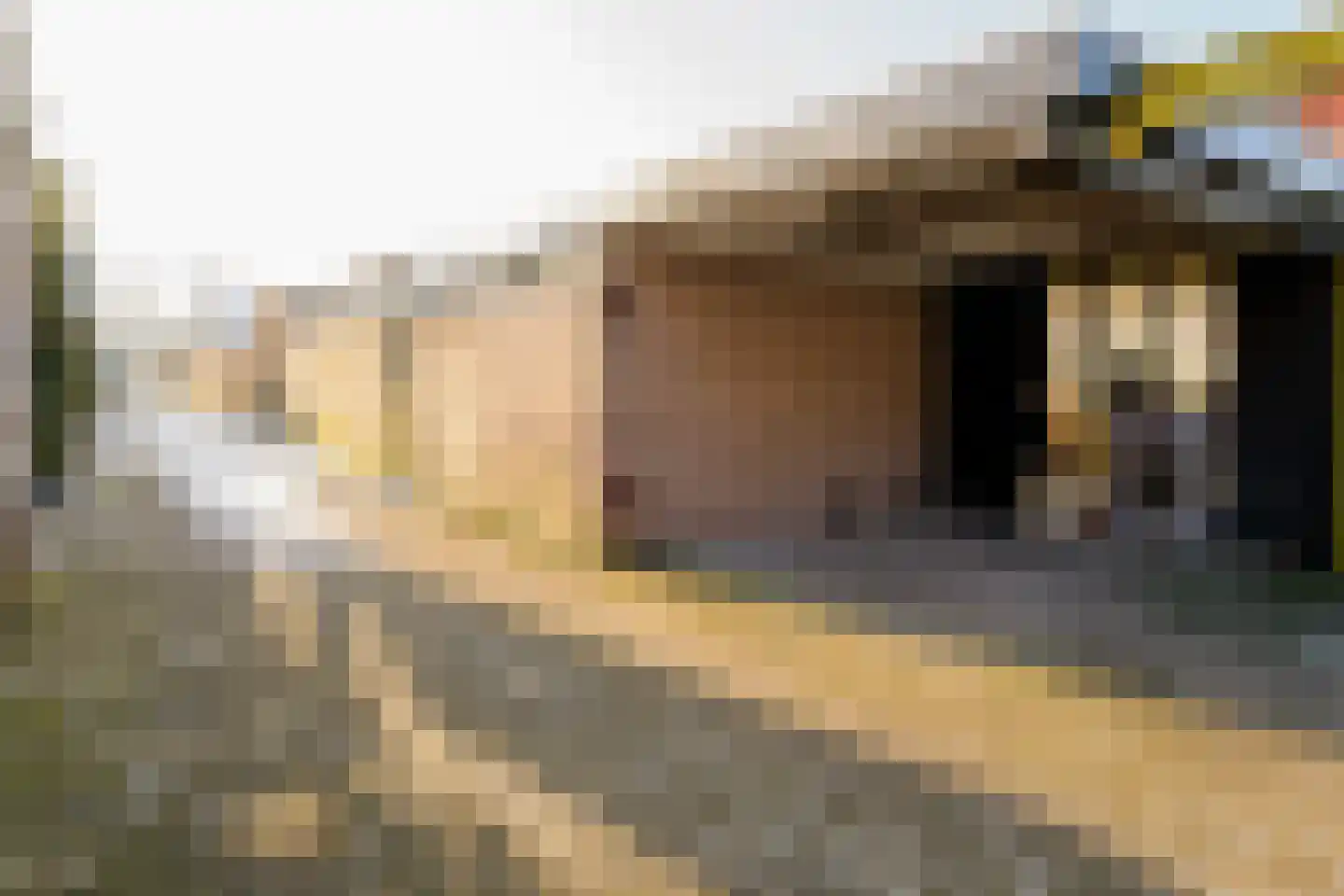 Kerkstraat 13 Vriezenveen thumbnail 66