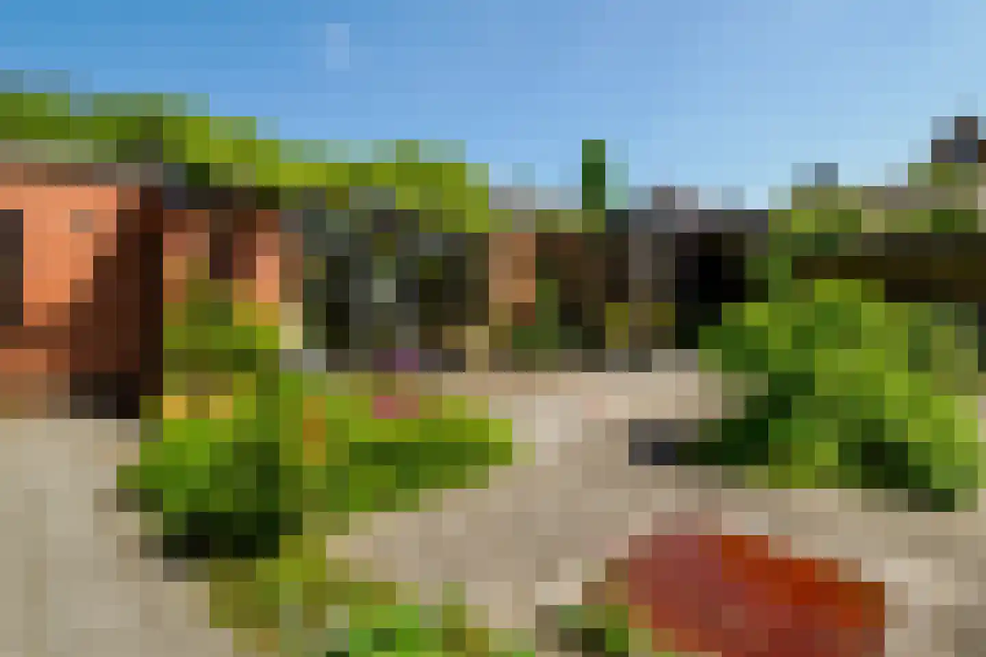 Kerkstraat 13 Vriezenveen thumbnail 66