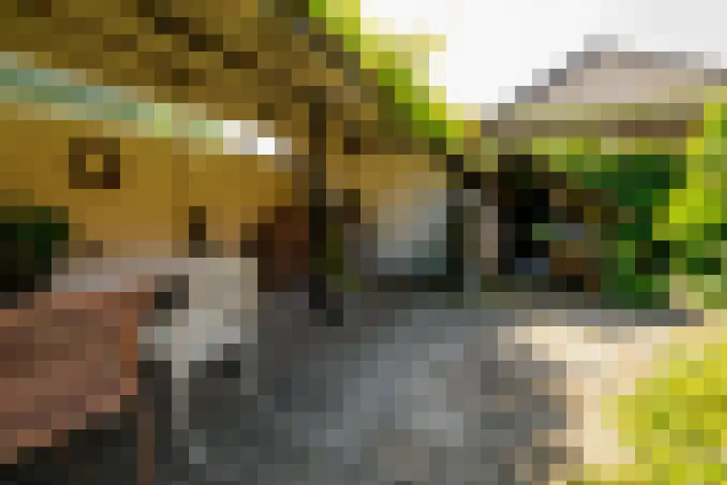 Kerkstraat 13 Vriezenveen thumbnail 67