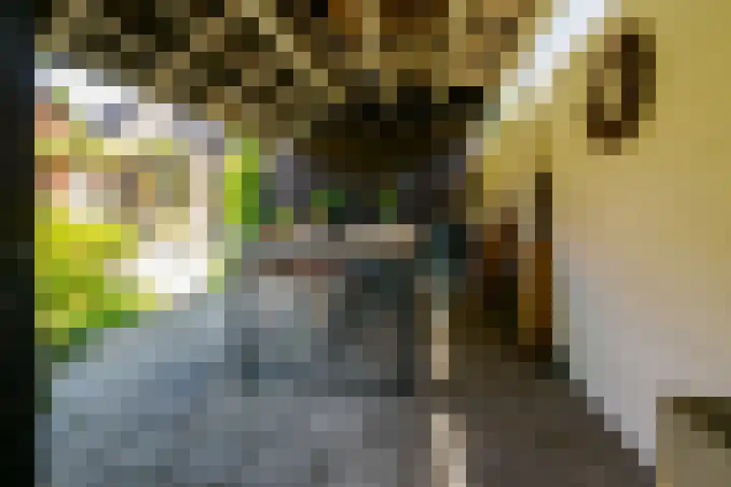 Kerkstraat 13 Vriezenveen thumbnail 68